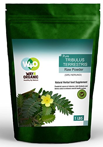 Tribulus Terrestris Powder Extract 16 Oz. No Fillers All Natural Powder - Way4Organic Tribulus Terrestris Powder Extract 16 Oz. No Fillers All Natural Powder - Way4Organic