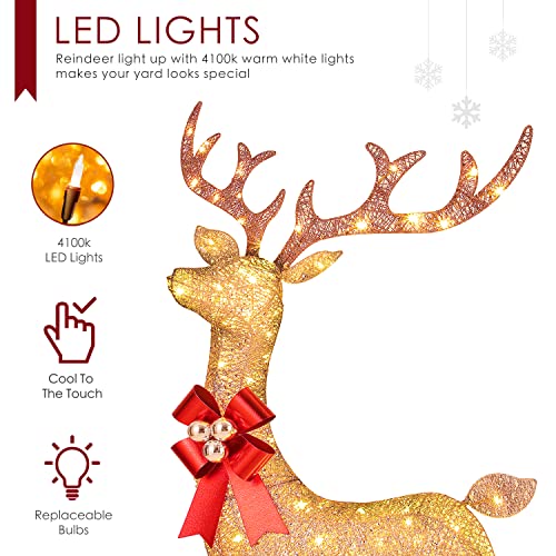 Large 3Pack Lighted Reindeer Christmas Outdoor Yard Decorations, Christmas Deer Family Decor
