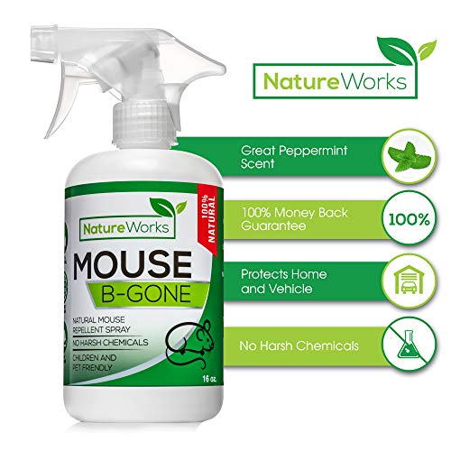 Mouse-B-Gone I Peppermint Oil Mouse Repellent Spray I Rodent Deterrent I Vehicle Protection- Car RV & Boat and House - Minty Smell