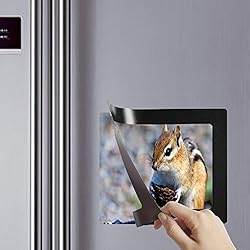 Raxwalker Magnetic Photo Frames and Refrigerator