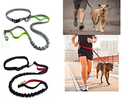 Winter Fox Reflective Bungee Dog Leash Handsfree Waist Leashes for Hiking,Jogging,Camping,Walking,Running Green