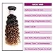 Racily Hair 8A Ombre Brazilian Hair Curly 3 Bundles with Closure Ombre Black to Dark Brown 2 Tone #1B 30 Curly Weave Human Hair with Lace Closure (18