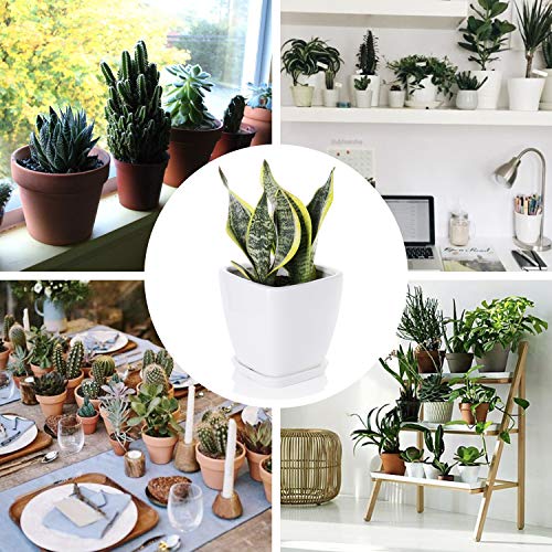 Greenaholics Succulent Pot - 5.1 Inch Square Ceramic Planter with Saucer, Flower Pot for Indoor Plant, with Drainage Hole, White