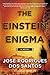 The Einstein Enigma: A Novel