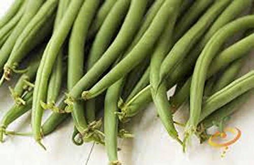 Frijoles, semillas tapa de la cosecha, orgánico, no GMO, 1000 ...