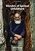 Wonders of Spiritual Unfoldment by John Butler