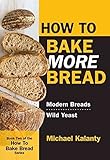 How To Bake MORE Bread: Modern Breads/Wild Yeast by
