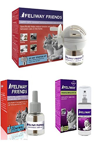 difference between feliway and feliway multicat