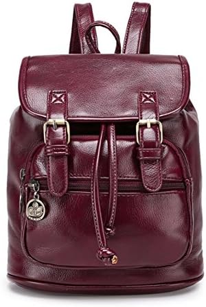 ANDAY Women's Vintage Retro Style PU Leather College School Bag Casual Mini Travel Backpack Satchel Purple