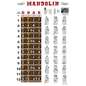 Triple-G Posters Mandolin Classic Style Easy Ch - Reviews & Prices