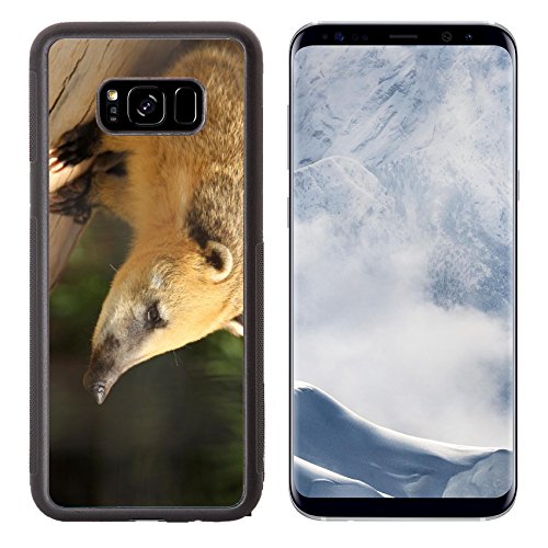 Liili Premium Samsung Galaxy S8 Plus Aluminum Backplate Bumper Snap Case IMAGE ID: 9871538 A Coati Family Procyonidae with Golden Fur Perched on a Log