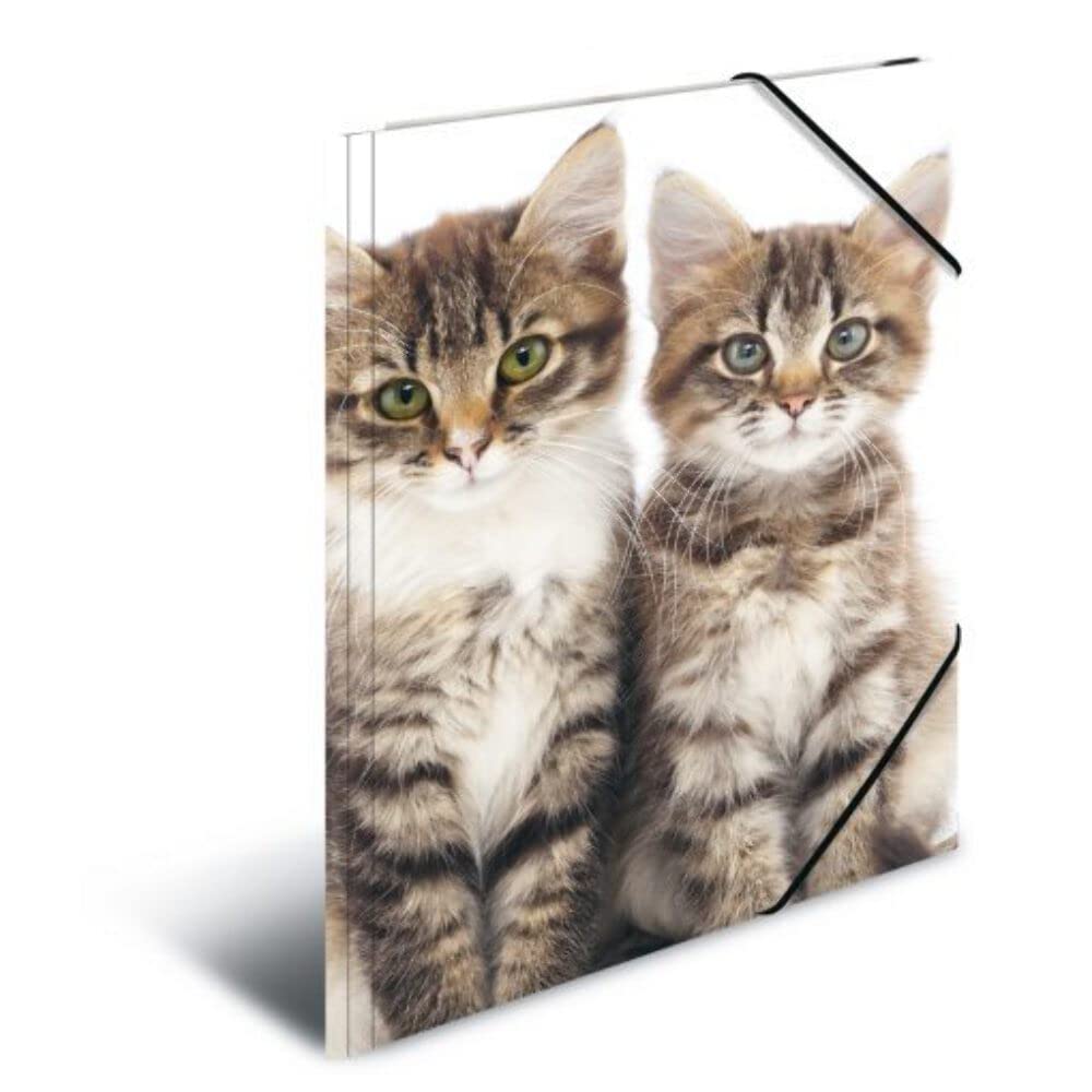 HERMA Elastic Folder Animals with Cats Motif, A4, Sturdy Plastic, with Inner Print, 1 Span Folder