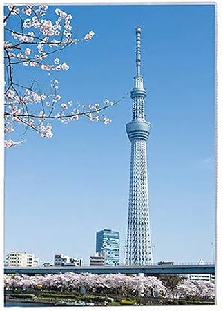 Amazon セキセイ パックン カバーノート 高透明 絵柄プリント付 A5 東京スカイツリー Pkn 731 00 ノート 文房具 オフィス用品