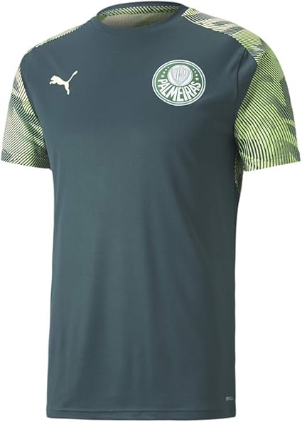 camisa de treino palmeiras puma