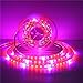 Grow LED Lights,GLIME 5050 SMD LED Plant Lights Grow Lamp with Control Panel 5M Waterproof Flexible Soft Strip with Adapter for Office Home Greenhouse Hydroponics Indoor Plant Flower Seeds Growth US