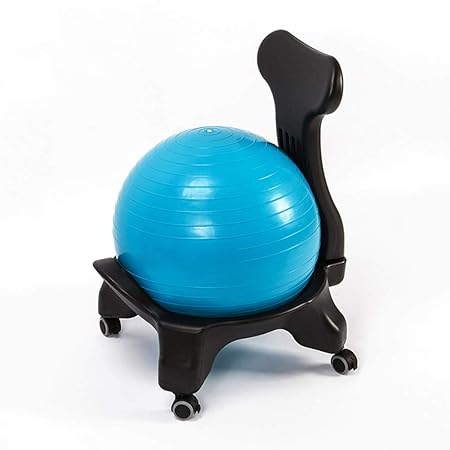 Wly&home Balance Ball Chair, Silla de Escritorio Stability ...
