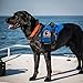 WORKINGSERVICEDOG.COM Emotional Support Animal Tag | Clips Onto Vest, Harness, Collar, Leash or Carrier | Includes Five ESA Informational Cards