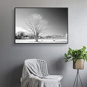 Floating Framed for Living Room Bedroom Black and...