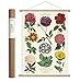 Cavallini Papers & Co. Vintage Botanica Hanging Poster Kit, Multicolor