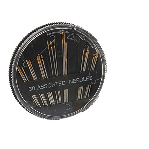 TOOGOO(R) 30pcs Assorted Sizes Hand Sewing Needles Embroidery Mending Craft Sew Case