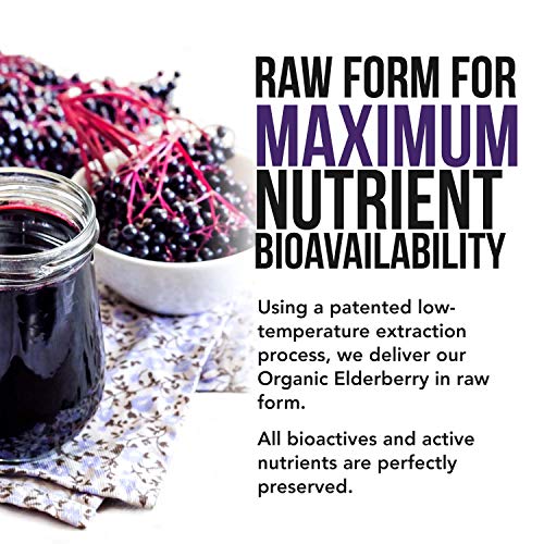 Elderberry Capsules 65X Concentrate, Maximum Strength with Prebiotic Absorption Enhancement