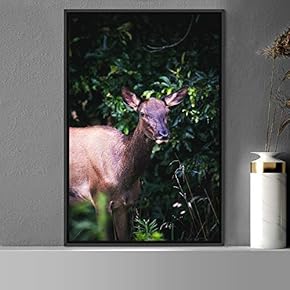 signwin Framed Canvas Wall Art Deer Animals Deer...