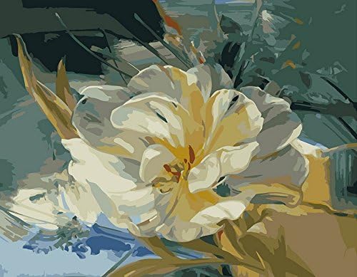 Big Size DIY Digital Abstract Painting Oil Painting of Flower Paint By Number Kits for Living Room