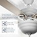 Hyperikon Indoor Ceiling Fan with Remote Control, 42-inch Light Wood White Ceiling Fan - White Fixture with Five Maple Blades and Frosted Dome Light - Bulb Not Included