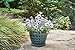Southern Patio Mayer Ceramic Planter CRM-047117 Seafoam Green 12
