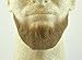 Full Chin Beard Goatee LIGHT BROWN - no. 2023 - REALISTIC! 100% Human Hair - Perfect for Theater and Stage ! Reusable - Lace backing