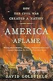 America Aflame: How the Civil War Created a Nation