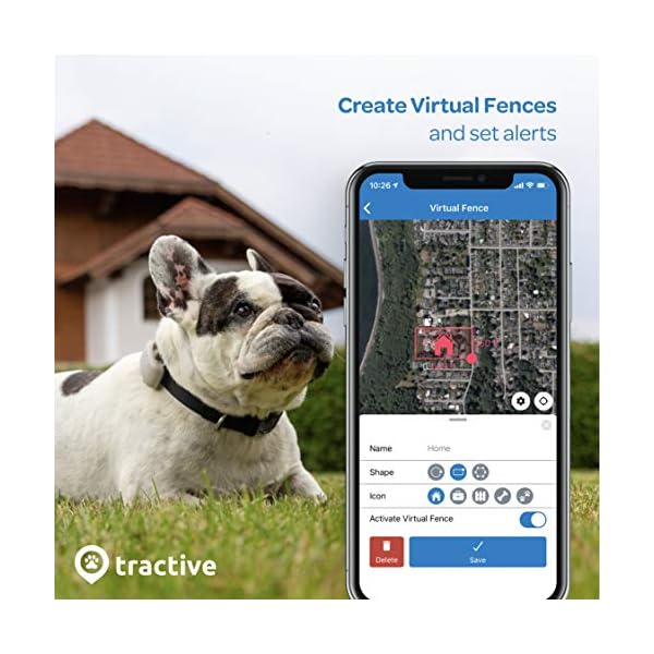 Tractive LTE GPS Dog Tracker Top Outdoor Dog Supply