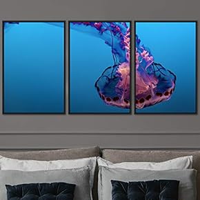 signwin 3 Piece Framed Canvas Wall Art Colorful...