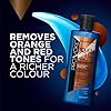 PROVOKE-Blue-Toning-Shampoo-and-Conditioner-Duo-Pack-NO-ORANGE-BRASSY-TONES-for-natural-coloured-or-highlighted-brunettes PROVOKE Blue Toning Sulphate-Free Shampoo and Conditioner Duo 200ml, Pack No Red & Orange Brassy Tones For Brunettes…