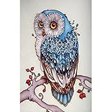 Fabal Diy Animal Diamond Painting Cross Stitch Diamond Embroidery Cat Full Square Diamonds Mosaic Pictures Of Rhinestones (F)