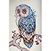 Fabal Diy Animal Diamond Painting Cross Stitch Diamond Embroidery Cat Full Square Diamonds Mosaic Pictures Of Rhinestones (F)