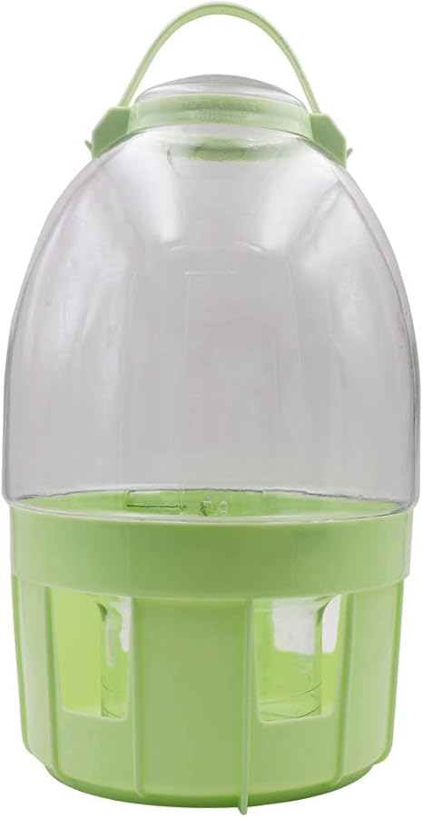 pigeon drinking bottle