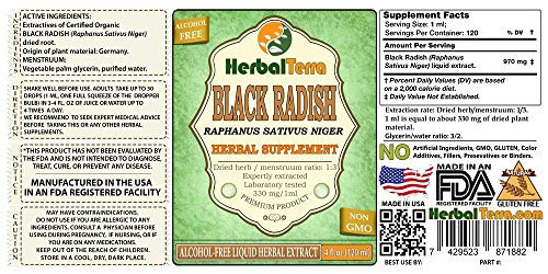 Black Radish (Raphanus Sativus Niger) Glycerite, Dried Root Alcohol-FREE Liquid Extract 2 oz