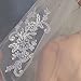 RULTA 1 Tier Lace Appliques Bridal Veil Crystal Beaded Tulle Wedding Veils with Comb (Ivory)