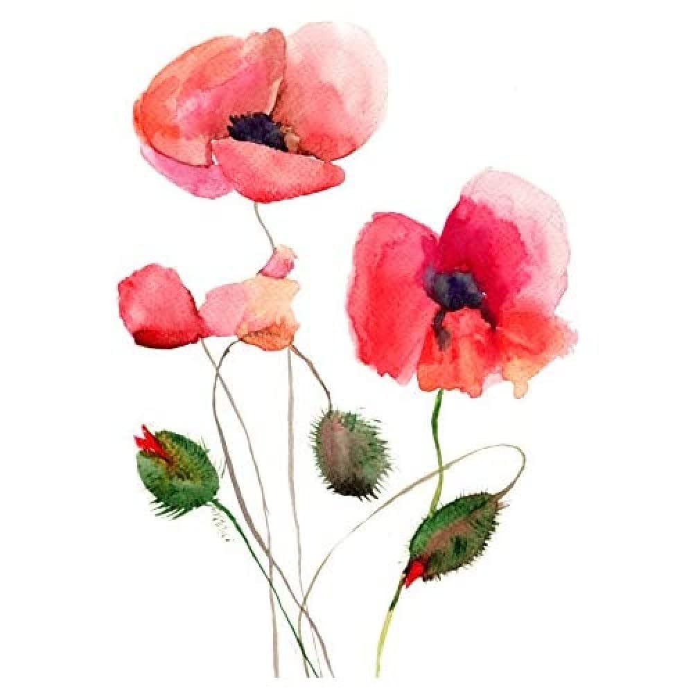 Wee Blue Coo Flower Poppies Watercolour Art Print Canvas Premium Wall Decor Poster