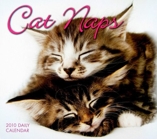 Cat Naps 2010 Daily Boxed Calendar (Calendar)