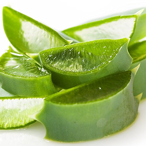 Vet's Best Hot Spot Spray for Dogs, 16 oz Dog Training