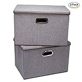 Storage bins,Wecye Large Foldable Storage Containers with Removable Lid and Handles,Storage box Storage cubes Organizer,Set of 2 (Grey)
