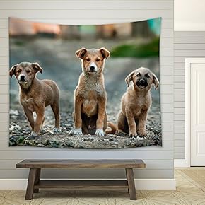 Three Cute Little Dog - Fabric Wall Tapestry Home Decor - 51x60 inches