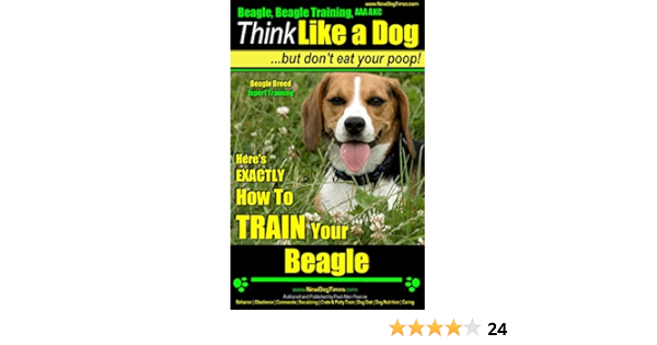 beagle eats poop