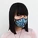 Vogmask Chakra N99CV