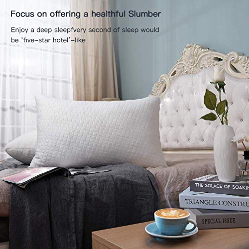 Fond Dream Hypoallergenic Memory Foam Bed Pillow Bamboo Queen Size Ivory Adjustable Loft Shredded Pillow for Home,Hotel Sleeping CertiPUR-US Certified (2 Packs) - 28\'\'x 20\'\'