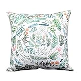 Woaills Ultra-Velvet Square 18 X 18 Inches Pillow Case, Removable Washable Sofa Bed Home Cushion Cover with Hidden Zipper (B)