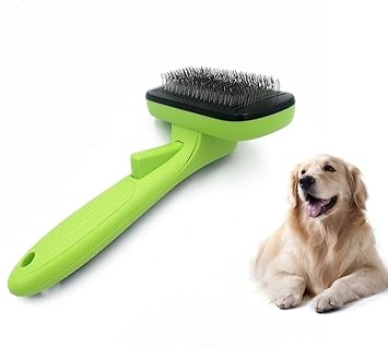 shedding brush for labs