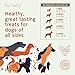 Hemp Hip and Joint Supplement for Dogs - Glucosamine for Dogs - Glucosamine Chondroitin for Dogs with MSM, Hemp, Turmeric & Omega 3 - Pain Relief - 120 ct Soft Chews - Made in The USA